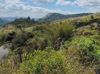 Agricultural Land for Sale in Idukki, Peerumade, Elappara, Madamakulam, Kuttikanam