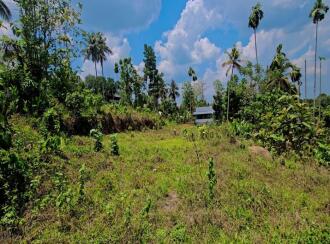 Residential Land for Sale in Kottayam, Pala, Pala, Murukkumpuzha Temple Road, Pala