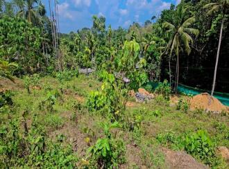 Residential Land for Sale in Kottayam, Pala, Pala, Murukkumpuzha Temple Road, Pala