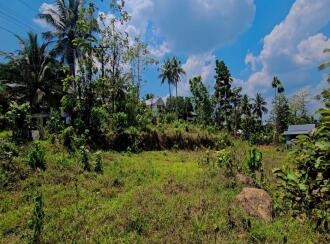 Residential Land for Sale in Kottayam, Pala, Pala, Murukkumpuzha Temple Road, Pala