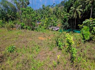 Residential Land for Sale in Kottayam, Pala, Pala, Murukkumpuzha Temple Road, Pala