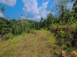 Residential Land for Sale in Kottayam, Pala, Pala, Murukkumpuzha Temple Road, Pala