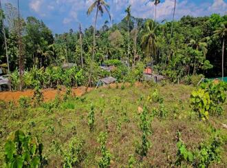 Residential Land for Sale in Kottayam, Pala, Pala, Murukkumpuzha Temple Road, Pala