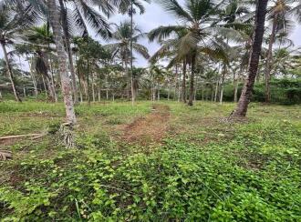 Agricultural Land for Sale in Kozhikode, Kuttiadi, Kayakkodi, SREE CHATHIYOOR SHIVA TEMPLE | JATHIYOOR MADAM