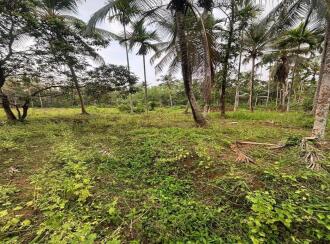 Agricultural Land for Sale in Kozhikode, Kuttiadi, Kayakkodi, SREE CHATHIYOOR SHIVA TEMPLE | JATHIYOOR MADAM