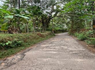 Agricultural Land for Sale in Kozhikode, Kuttiadi, Kayakkodi, SREE CHATHIYOOR SHIVA TEMPLE | JATHIYOOR MADAM