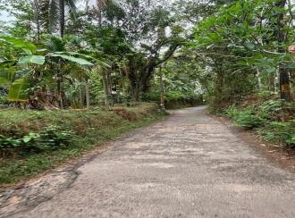 Agricultural Land for Sale in Kozhikode, Kuttiadi, Kayakkodi, SREE CHATHIYOOR SHIVA TEMPLE | JATHIYOOR MADAM