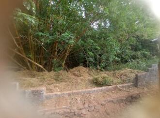 Residential Land for Sale in Kottayam, Kottayam town, Aymanam, Kudayampadi - Parippu Rd, Aymanam, Kerala 686014
