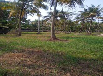 Residential Land for Sale in Thrissur, Kodungallur, Azhikode, Kara Beach Road