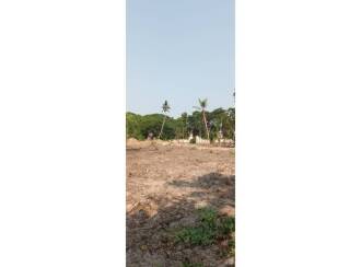 Residential Land for Sale in Alleppey, Cherthala, Cherthala town, Near KSEB office Cherthala