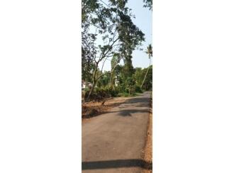 Residential Land for Sale in Alleppey, Cherthala, Cherthala town, Near KSEB office Cherthala