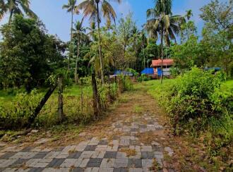 Residential Land for Sale in Alleppey, Cherthala, Cherthala town, Municipal Court