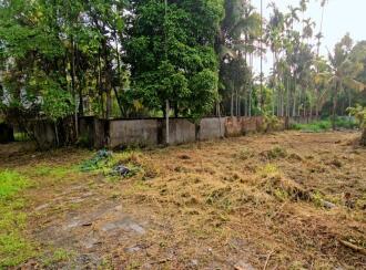 Residential Land for Sale in Alleppey, Cherthala, Cherthala town, Municipal Court