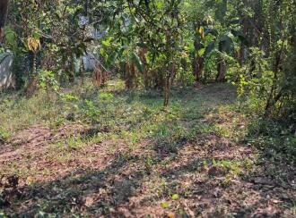 Residential Land for Sale in Thrissur, Kanjany, Kanjany, Kanjani - Anthikkad Road