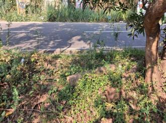 Residential Land for Sale in Thrissur, Kanjany, Kanjany, Kanjani - Anthikkad Road