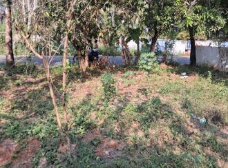 Residential Land for Sale in Thrissur, Kanjany, Kanjany, Kanjani - Anthikkad Road