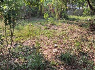 Residential Land for Sale in Thrissur, Kanjany, Kanjany, Kanjani - Anthikkad Road