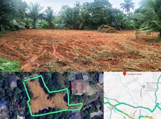 Residential Land for Sale in Ernakulam, Kothamangalam, Thrikkariyur, Gandhi Nagar 2nd Street