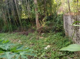 Residential Land for Sale in Kottayam, Vaikom, Naduvila