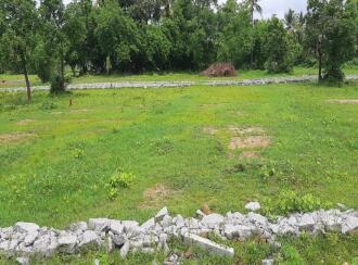 Residential Land for Sale in Palakkad, Palakkad, Kinassery