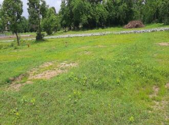 Residential Land for Sale in Palakkad, Palakkad, Kinassery