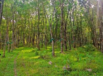 Residential Land for Sale in Pathanamthitta, Adoor, Enathu, near old KSRTC bus stop