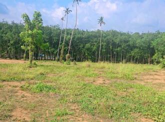 Residential Land for Sale in Pathanamthitta, Adoor, Enathu, near old KSRTC bus stop
