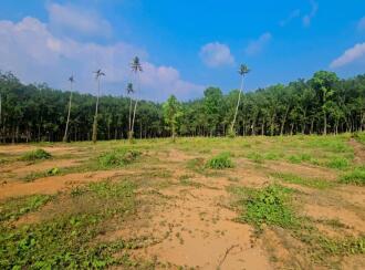 Residential Land for Sale in Pathanamthitta, Adoor, Enathu, near old KSRTC bus stop
