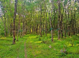 Residential Land for Sale in Pathanamthitta, Adoor, Enathu, near old KSRTC bus stop