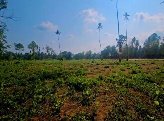 Residential Land for Sale in Pathanamthitta, Adoor, Enathu, near old KSRTC bus stop