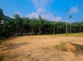 Residential Land for Sale in Pathanamthitta, Adoor, Enathu, near old KSRTC bus stop