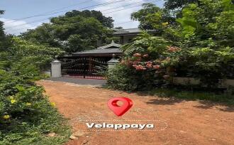 Residential House Villa for Sale in Thrissur, Thrissur, Velappaya, medical College and kuhs university