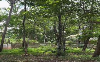 Residential House Villa for Sale in Thrissur, Thrissur, Velappaya, medical College and kuhs university