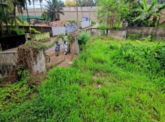 Residential Land, Ernakulam