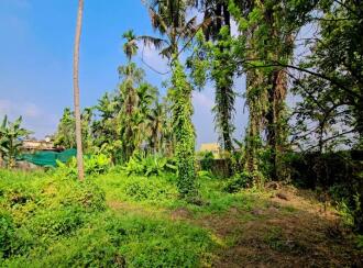Residential Land for Sale in Ernakulam, Paravur, Alangad, hirumuppam Shiva Temple, Thirumuppam, NH 17, Thirumuppam, Varapuzha, Kerala 683517