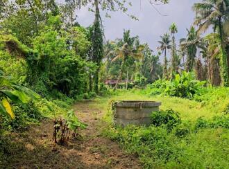 Residential Land for Sale in Ernakulam, Paravur, Alangad, hirumuppam Shiva Temple, Thirumuppam, NH 17, Thirumuppam, Varapuzha, Kerala 683517