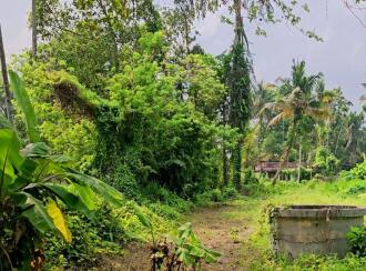 Residential Land for Sale in Ernakulam, Paravur, Alangad, hirumuppam Shiva Temple, Thirumuppam, NH 17, Thirumuppam, Varapuzha, Kerala 683517