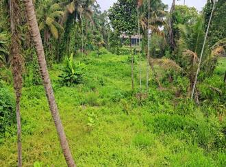 Residential Land for Sale in Ernakulam, Paravur, Alangad, hirumuppam Shiva Temple, Thirumuppam, NH 17, Thirumuppam, Varapuzha, Kerala 683517