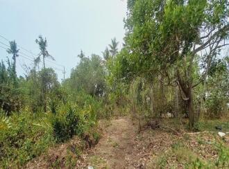 Residential Land for Sale in Ernakulam, Paravur, North Paravur , Cheriya Pallam Thuruth