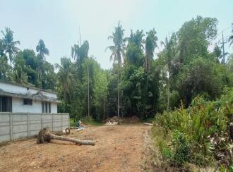 Residential Land for Sale in Ernakulam, Paravur, North Paravur , Cheriya Pallam Thuruth