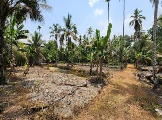 Residential Land for Sale in Kottayam, Kumarakom, Kumarakom, Toddy Shop, Kumarakom, Kottayam
