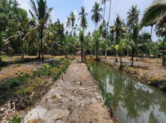 Residential Land for Sale in Kottayam, Kumarakom, Kumarakom, Toddy Shop, Kumarakom, Kottayam