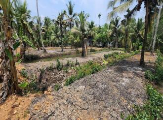 Residential Land for Sale in Kottayam, Kumarakom, Kumarakom, Toddy Shop, Kumarakom, Kottayam
