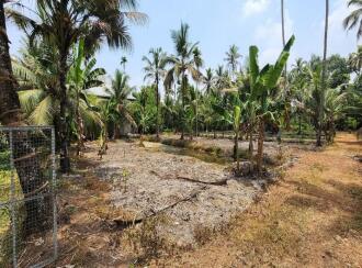 Residential Land for Sale in Kottayam, Kumarakom, Kumarakom, Toddy Shop, Kumarakom, Kottayam
