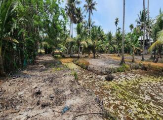 Residential Land for Sale in Kottayam, Kumarakom, Kumarakom, Toddy Shop, Kumarakom, Kottayam