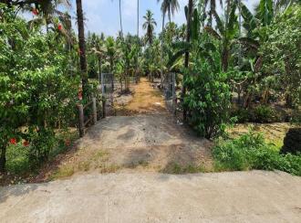 Residential Land for Sale in Kottayam, Kumarakom, Kumarakom, Toddy Shop, Kumarakom, Kottayam