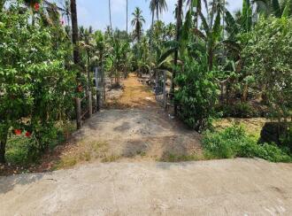 Residential Land for Sale in Kottayam, Kumarakom, Kumarakom, Toddy Shop, Kumarakom, Kottayam