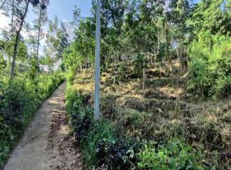 Agricultural Land for Sale in Pathanamthitta, Adoor, Adoor, Nicola Tesla School