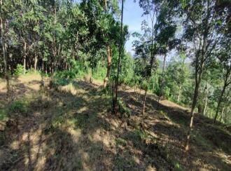 Agricultural Land for Sale in Pathanamthitta, Adoor, Adoor, Nicola Tesla School