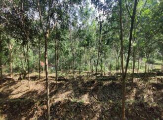 Agricultural Land for Sale in Pathanamthitta, Adoor, Adoor, Nicola Tesla School